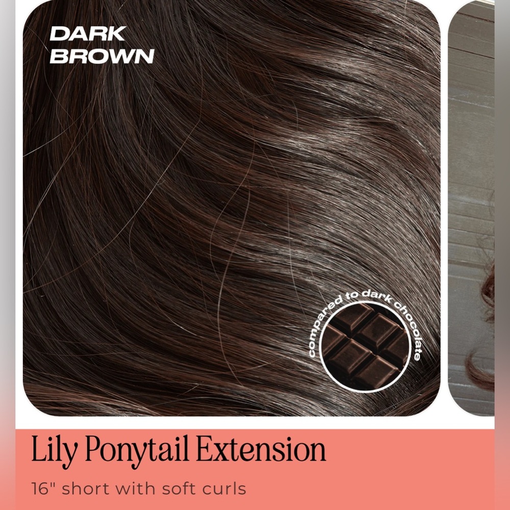 Insert Name Here Ponytail Extension - Picture 5 of 5